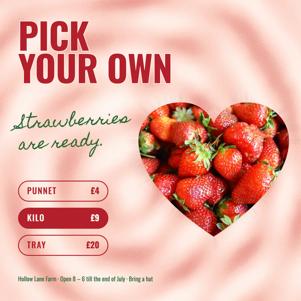 Hollow Lane Farm, Pick your own